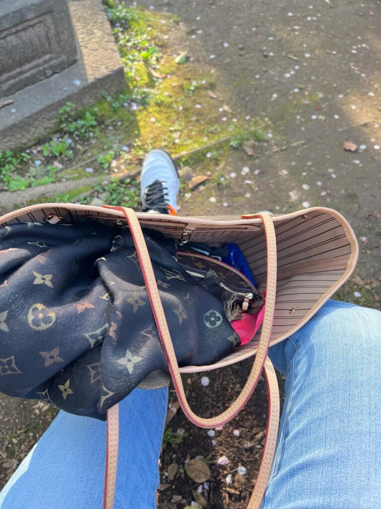 Louis Vuitton Neverfull