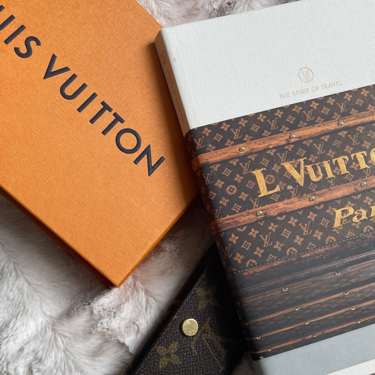 Louis Vuitton book