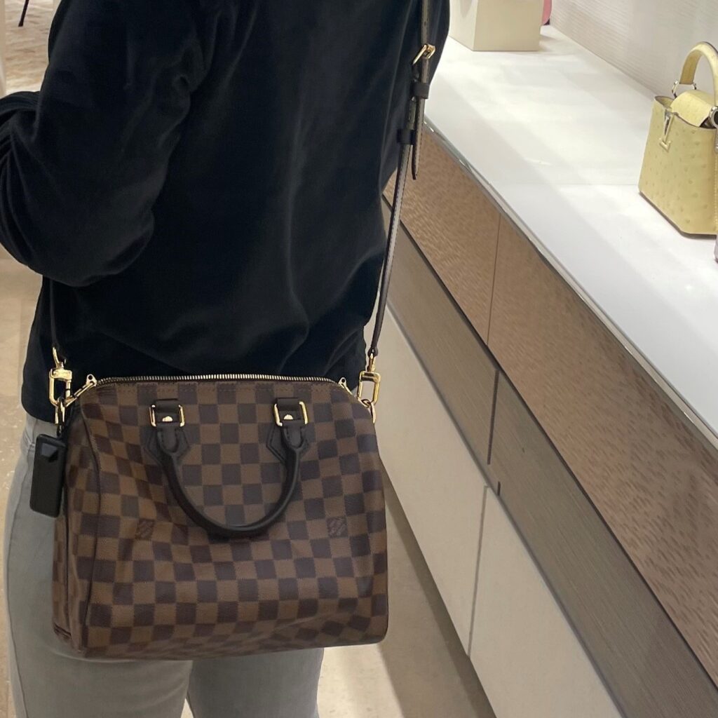 Speedy Damier Ebene Bag