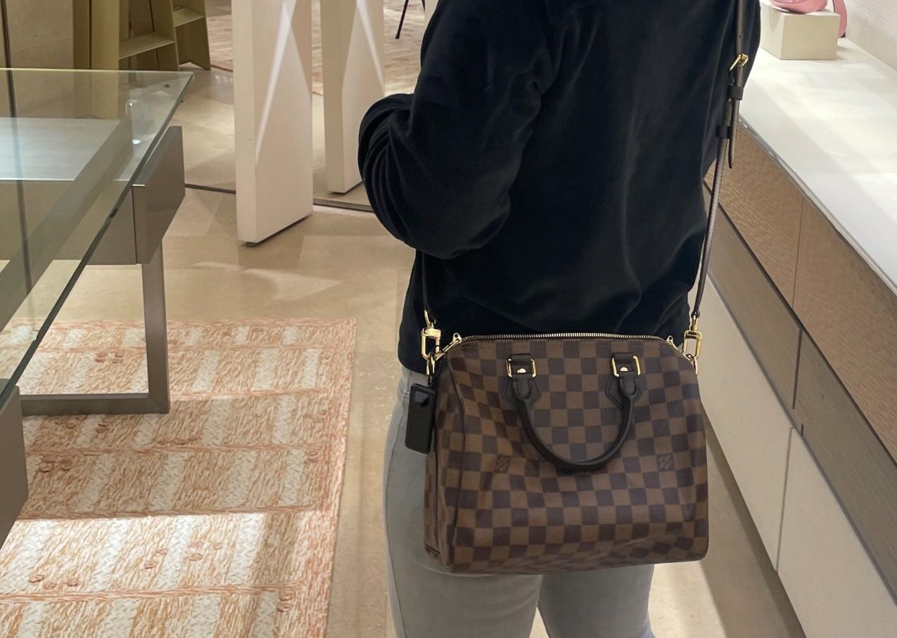 Louis Vuitton Speedy 30 Damier Ebene