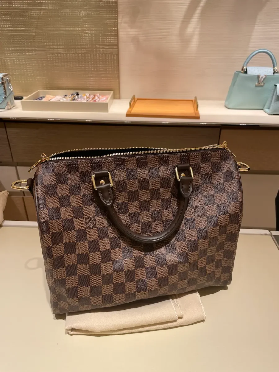 Louis Vuitton Speedy shopping guide