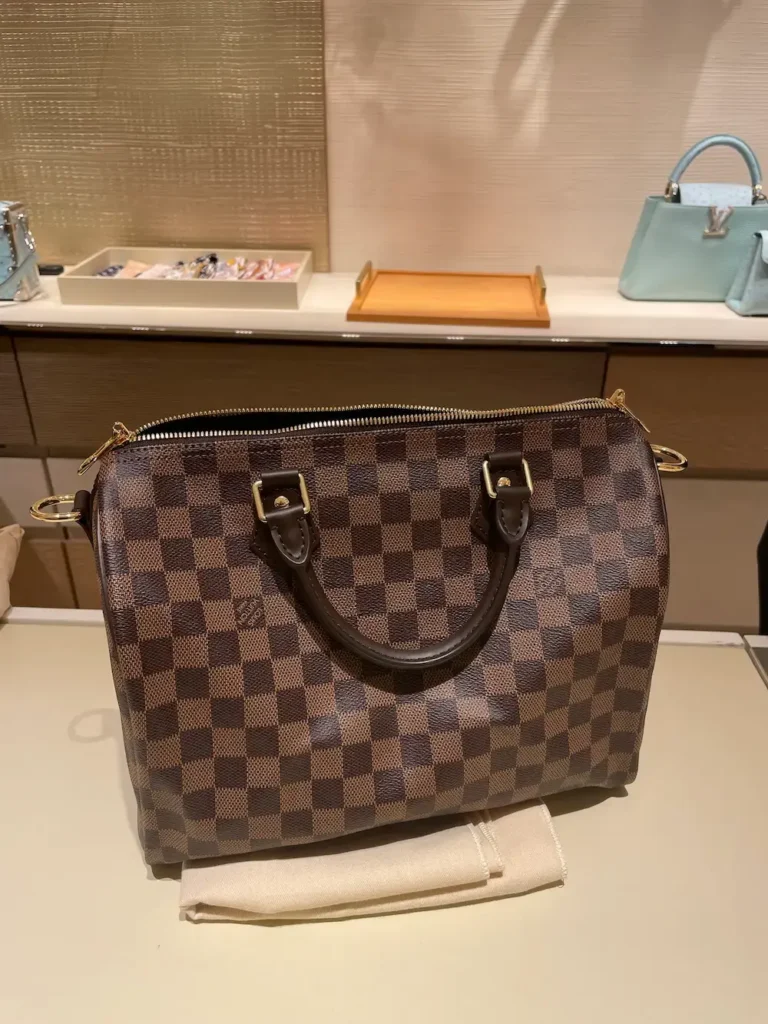 Why the Louis Vuitton Speedy is back in 2026