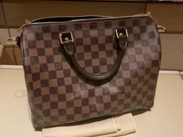 Why the Louis Vuitton Speedy is back in 2026