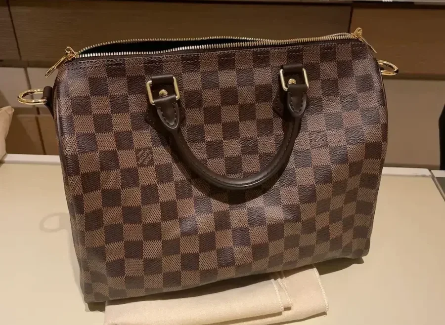 Why the Louis Vuitton Speedy is back in 2026